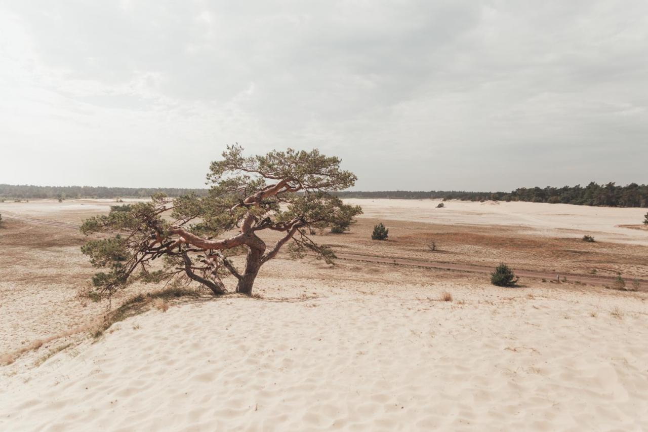 Noyr. Tiny House Villa Nunspeet Buitenkant foto